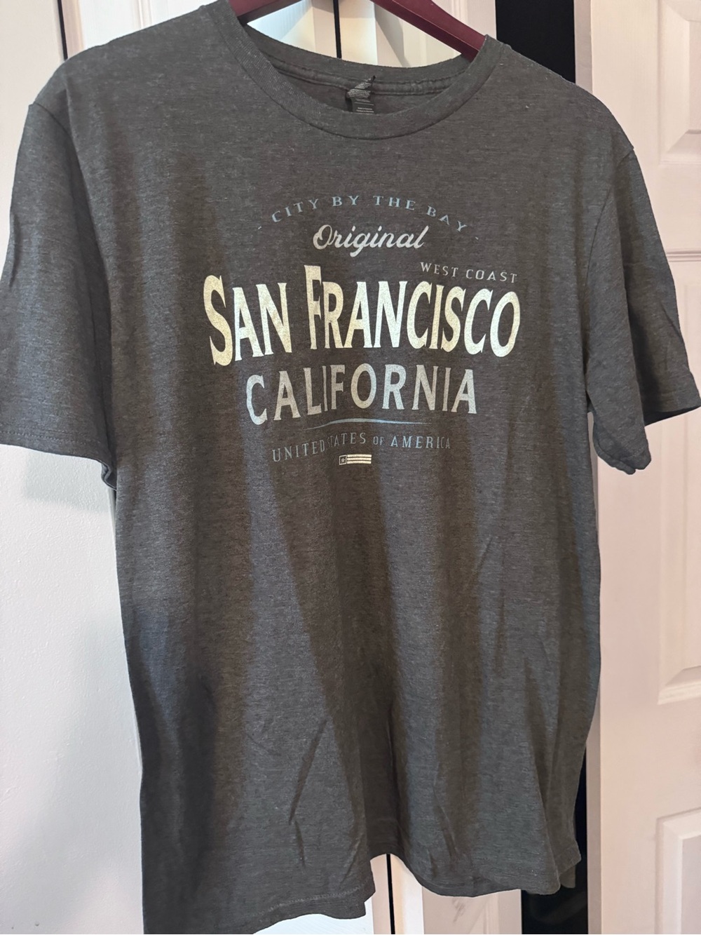 Anvil Gray San Francisco California Graphic Tee